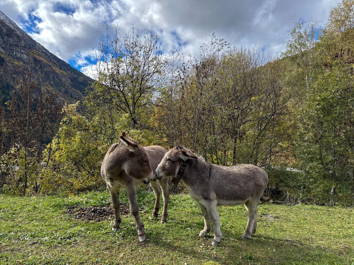Cozyloge, Orelle & Les 3 Vallees Екстер'єр фото